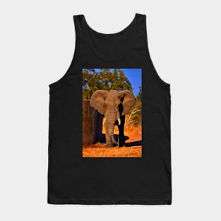 Kruger Elephant Tank Top